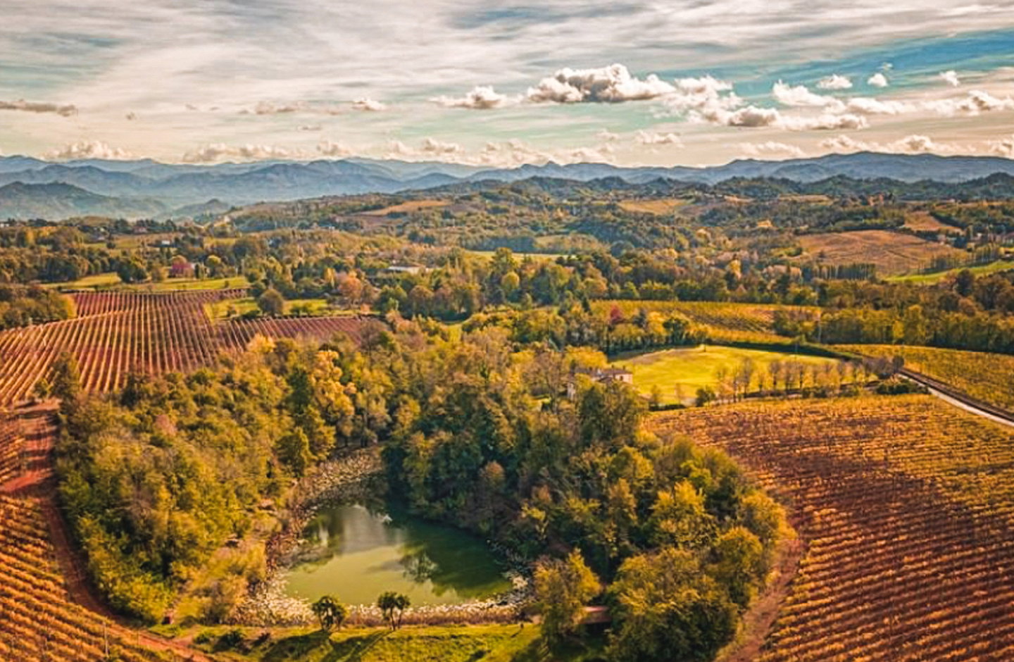 Tenuta La Marchesa