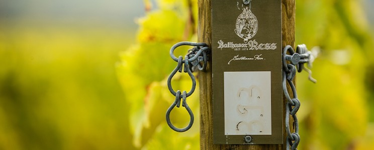 Ress Family Wineries