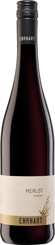 2024 Merlot BIO