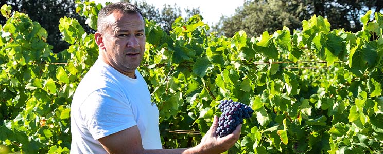 Domaine Mas Conscience