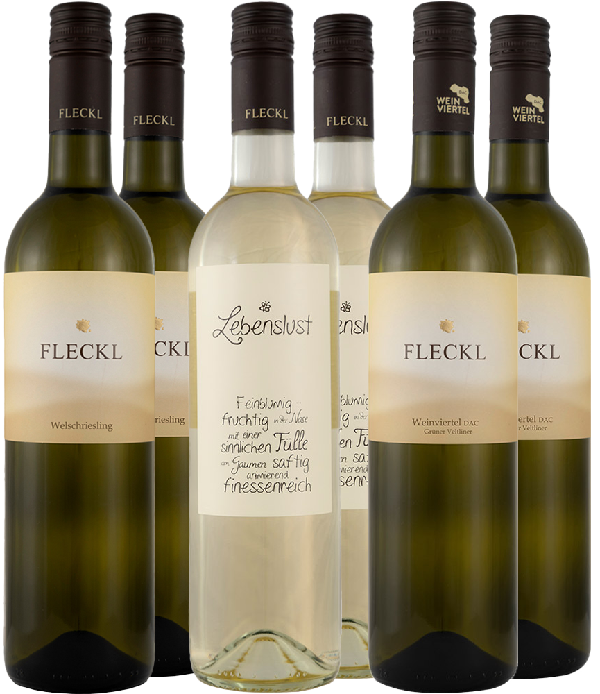 Weißwein-Paket trocken