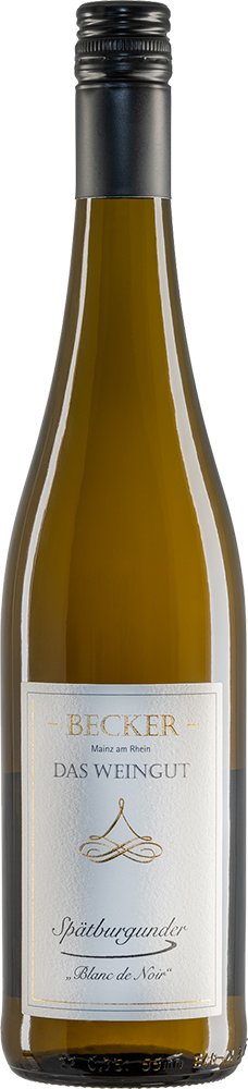 2024 Spätburgunder "Blanc de Noir"