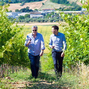 Manufacturer Tenuta Antonini Alessio
