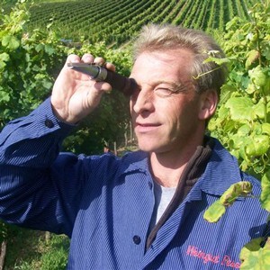 Stefan Fesel