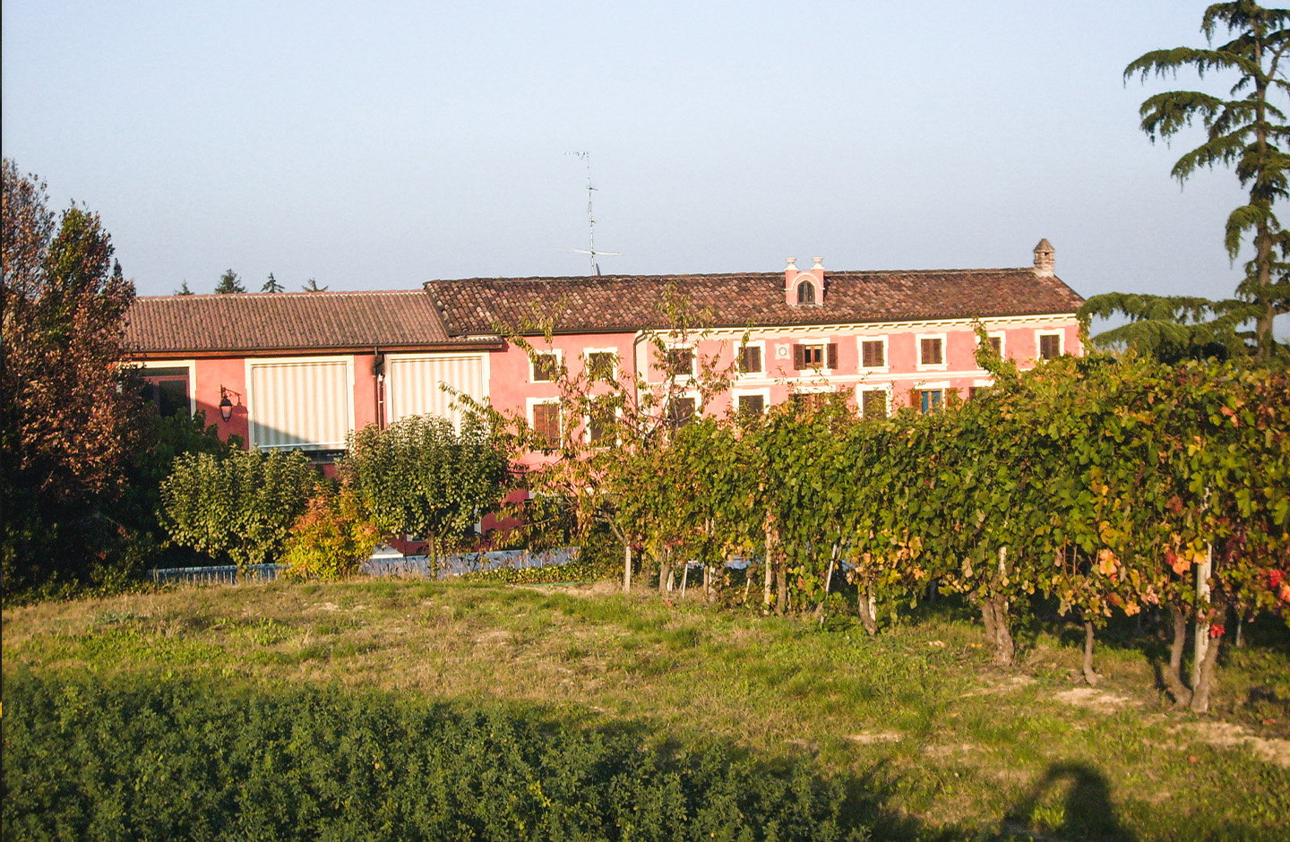 Dealessi
