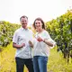 Artisan Wines
