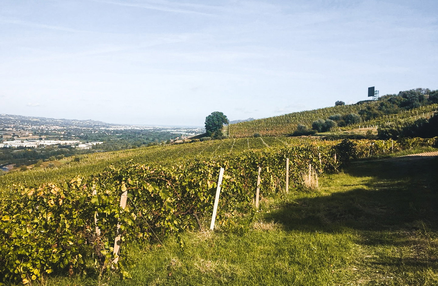 Tenuta Cassetti