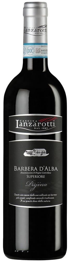 2021 Pujina Barbera d'Alba Superiore DOC