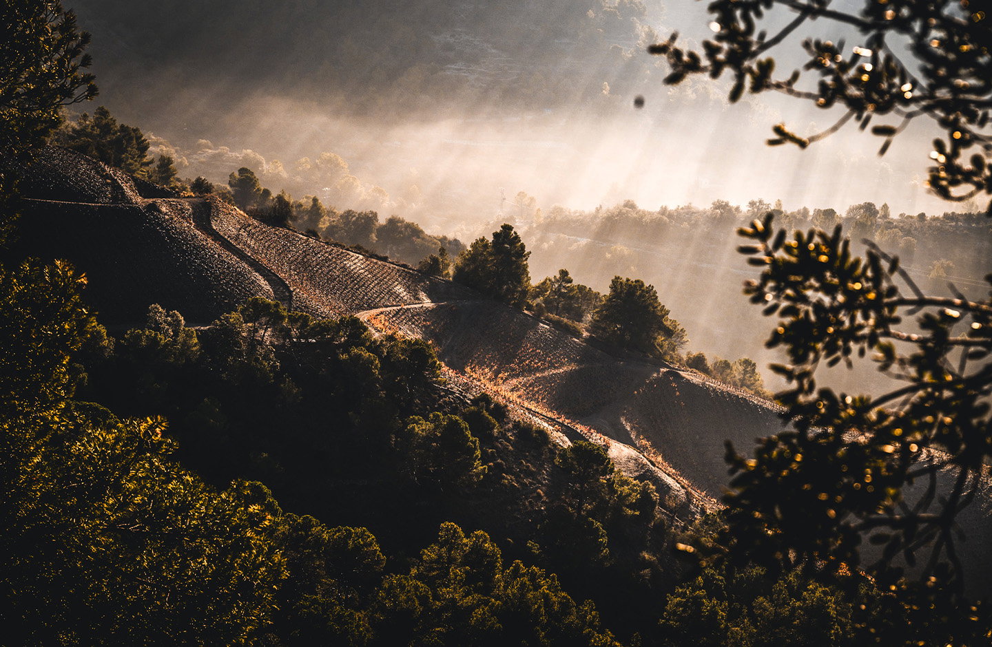 Adrets del Priorat