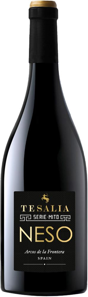 2022 Neso Cádiz VT