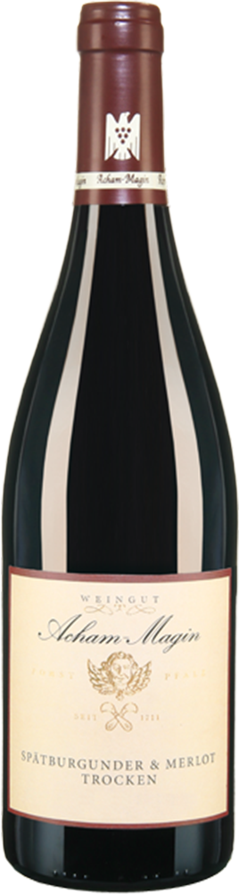 2023 Spätburgunder & Merlot VDP.Gutswein BIO