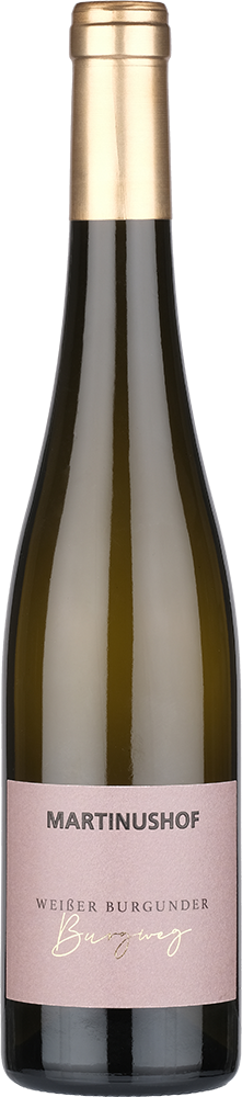 2020 Weißer Burgunder Auslese 0,5 L