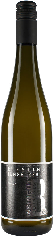 2024 Riesling "Symphonie" BIO