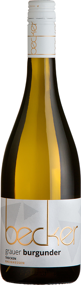 2025 GRAUER BURGUNDER
