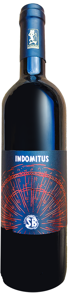 2015 Indomitus Riserva