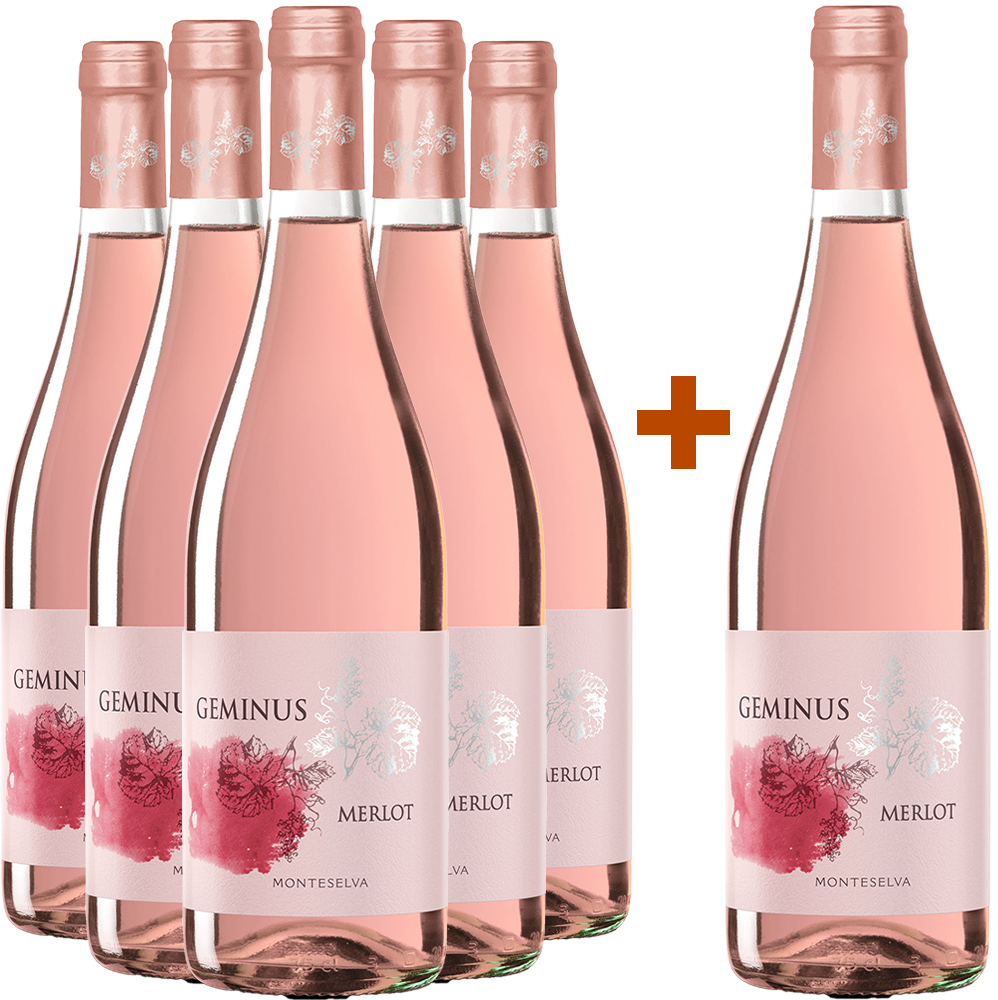 5+1 Paket Geminus Merlot 