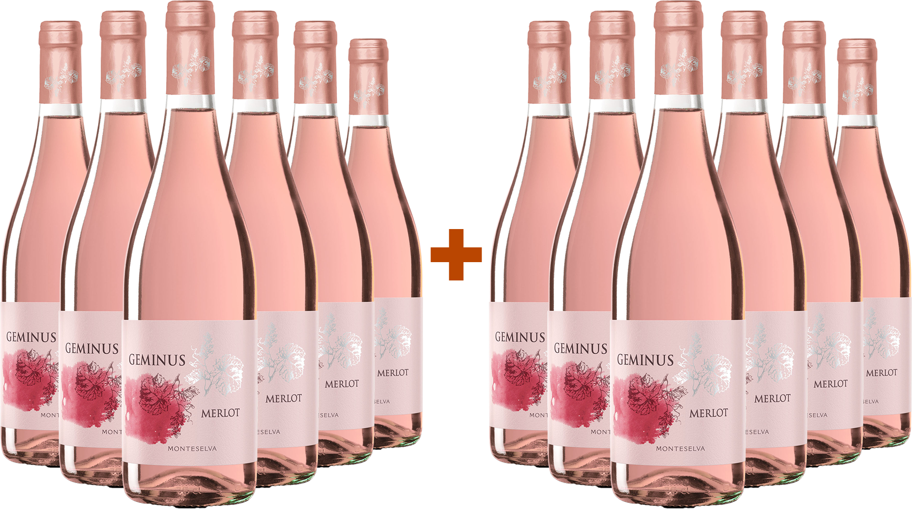 6+6 Paket Geminus Merlot