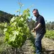 Domaine Eyguestre