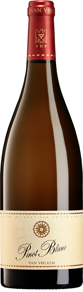 2021 Pinot Blanc