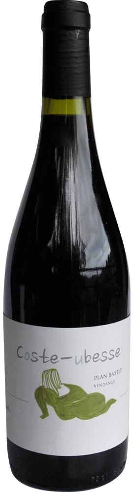 2017 Cuvée Plan Bastit Saint Guilhem le Désert IGP BIO