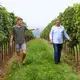 Weingut Helmut Maglock (DE)