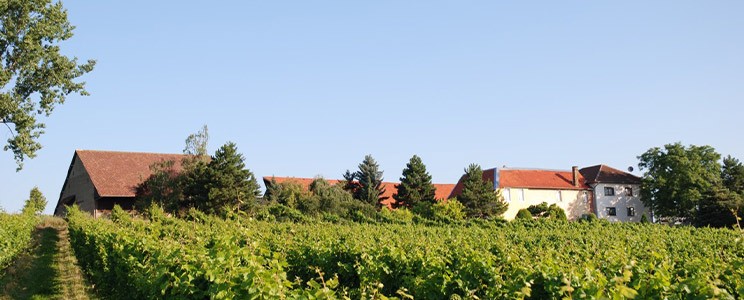 Gut Neuhof