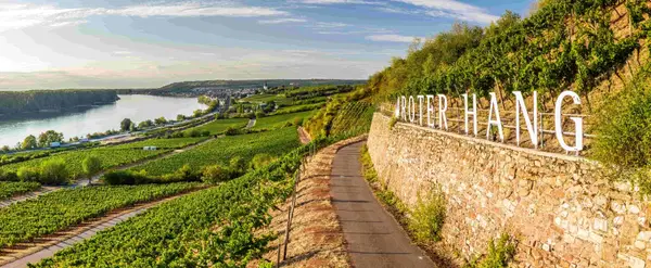 Roter Hang in Rheinhessen