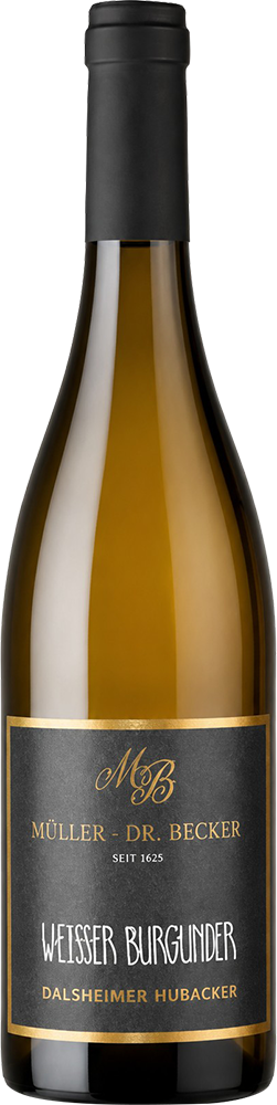 2023 Alte Reben-Dalsheimer Steig Weisser Burgunder MDCXXV