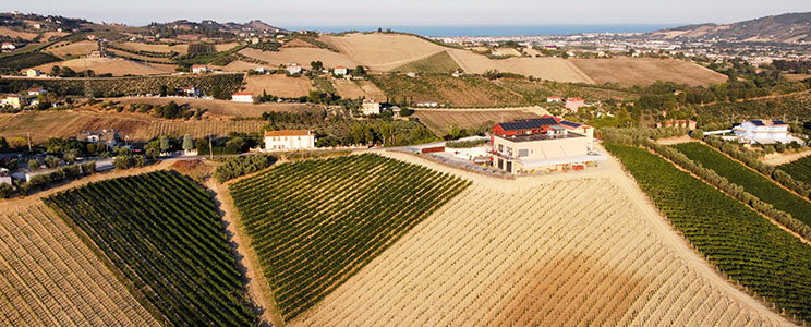 Il Conte Villa Prandone