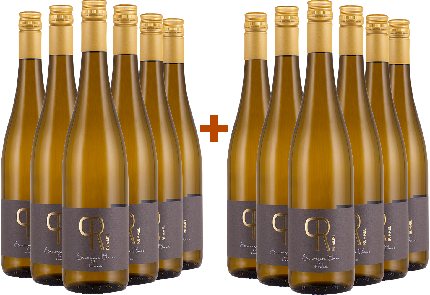 6+6 Paket Sauvignon Blanc