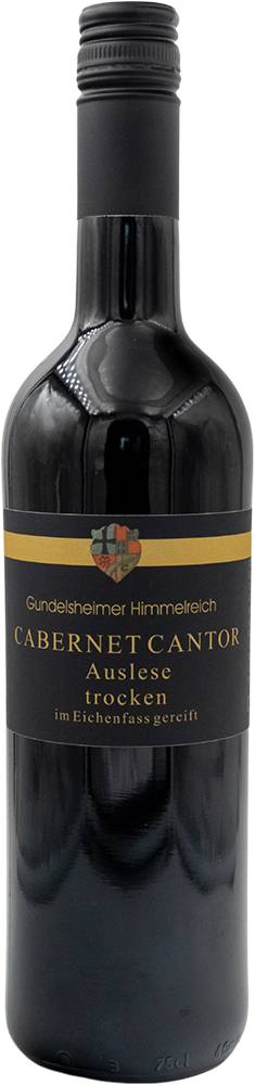 Cabernet Cantor